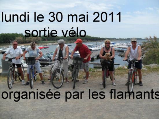 Eh oui ce sont les meilleurs