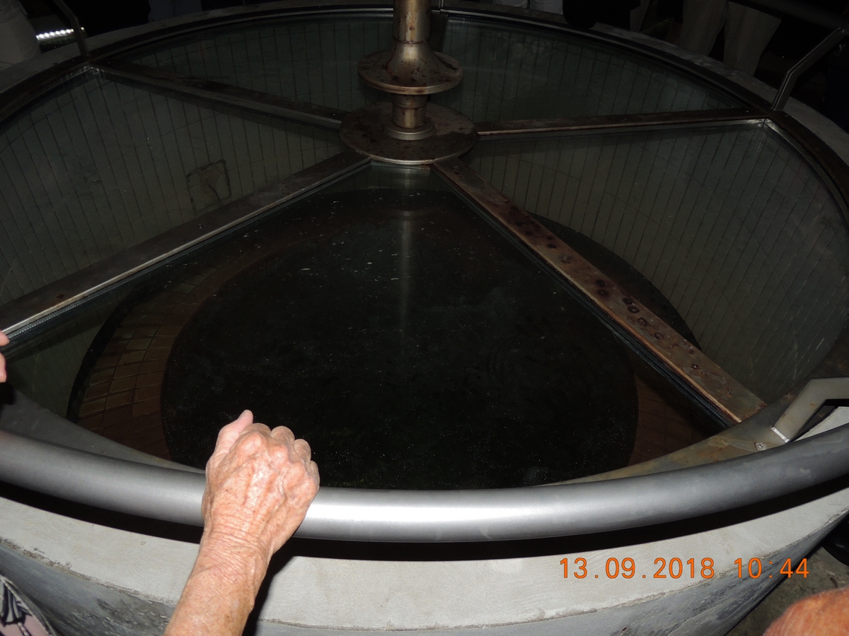Le-lac-des-reves petanque 13 09 2018_11