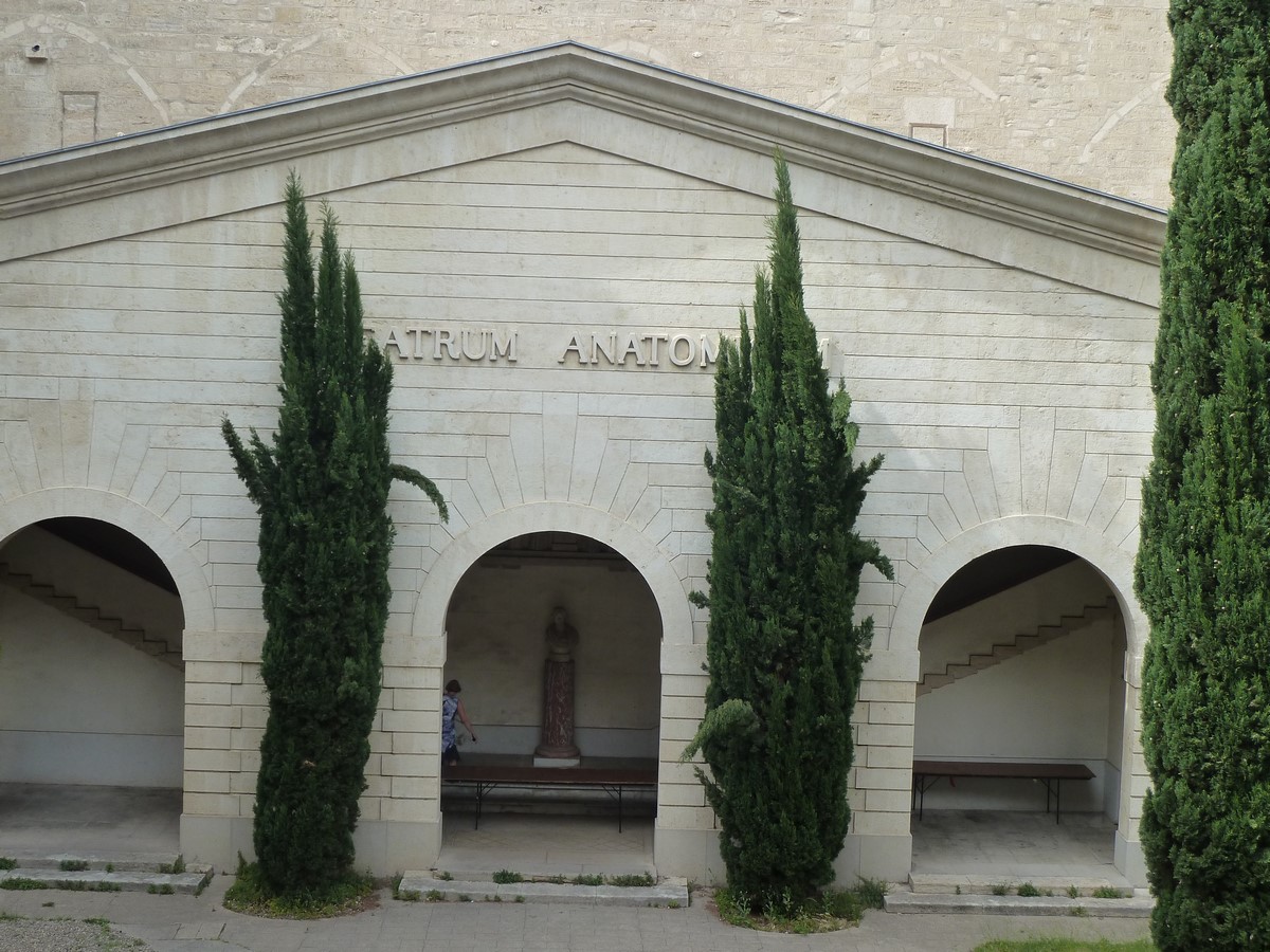 Visite Montpellier 30 05 2017 LDR_11
