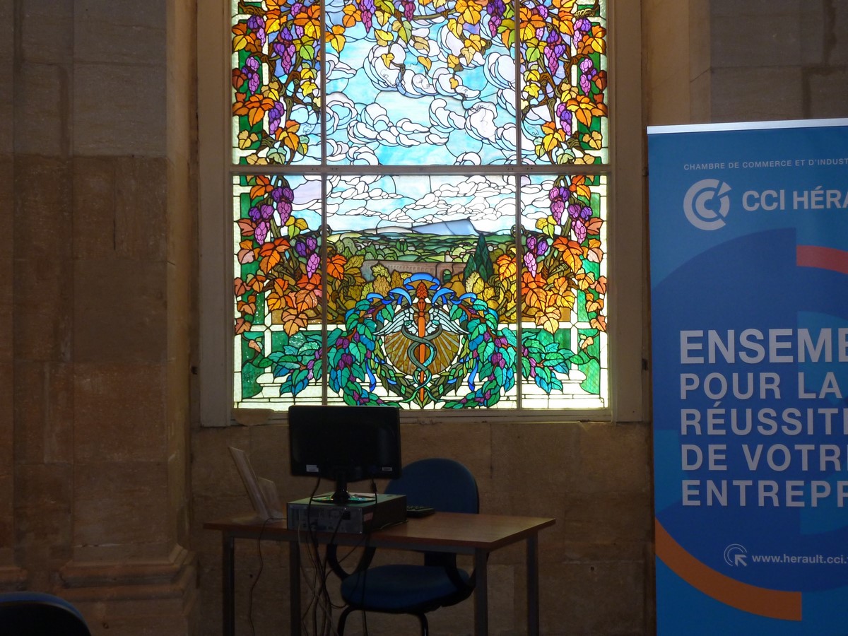 Visite Montpellier 30 05 2017 LDR_2