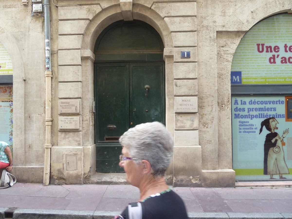 Visite Montpellier 30 05 2017 LDR_9