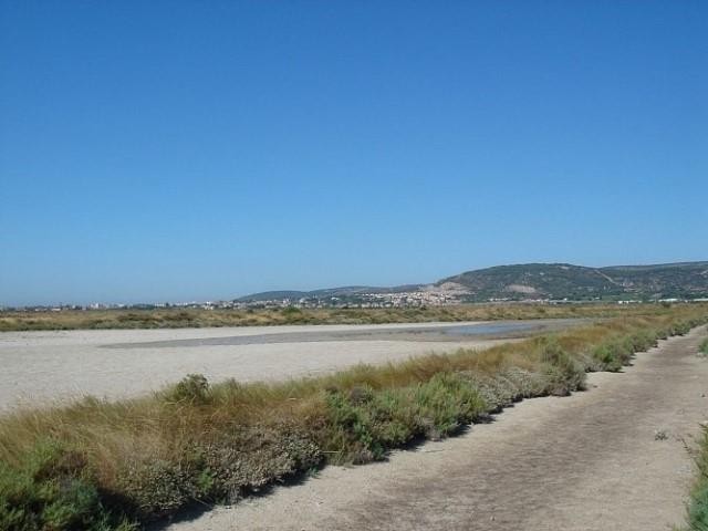 Img 0210